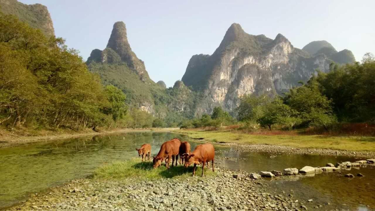 Xingping Li River Lodge Ґуйлінь Екстер'єр фото